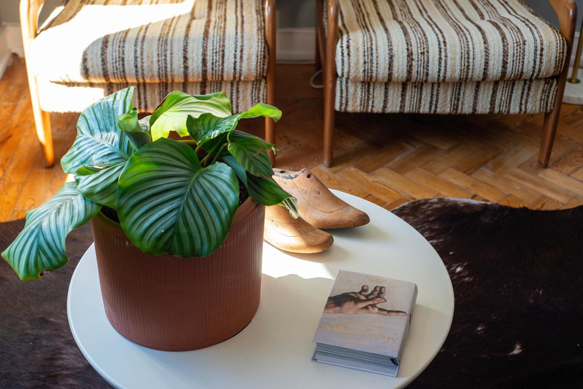 Graca - Castle | Lisbon Cheese & Wine Apartments Luaran gambar